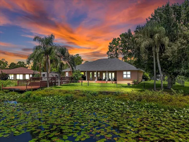 twilight Backyard view