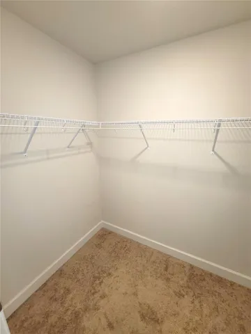 Walk-in Closet and separate linen closet too