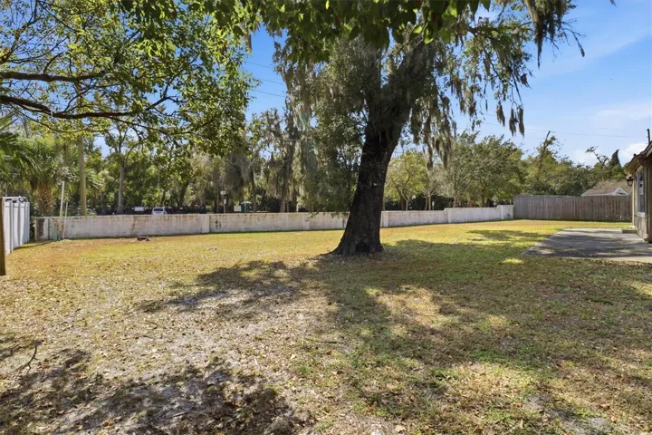 Backyard