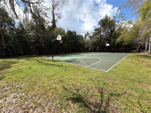 Basketball court