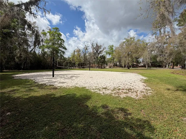 Volleyball court