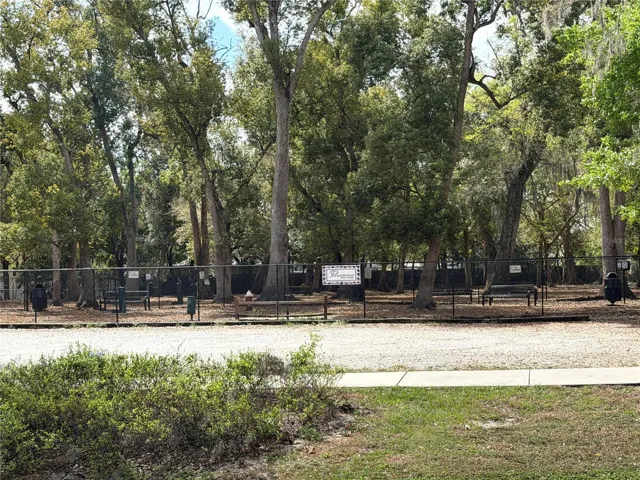 Beautiful parks are your backyard view