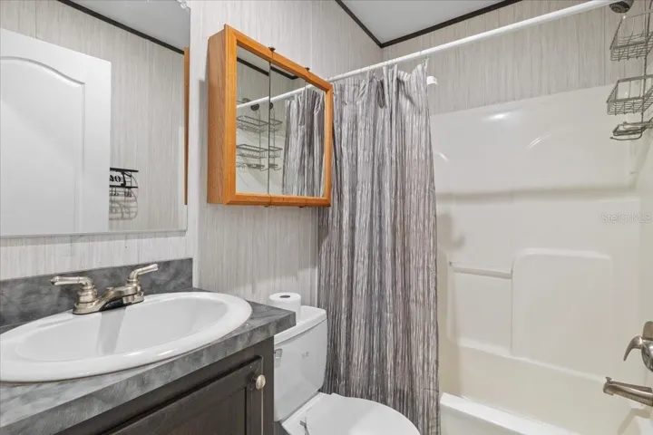 Hall bathroom
