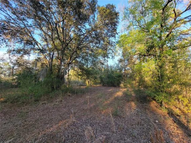 View of Property