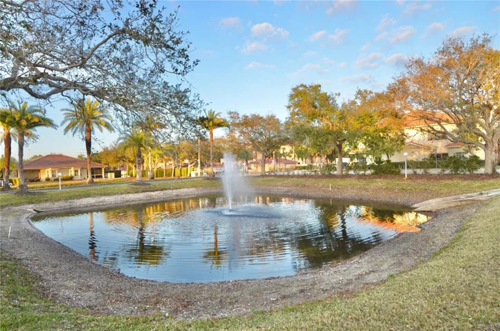 Water Fountain