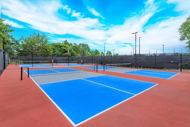 Pickleball Court
