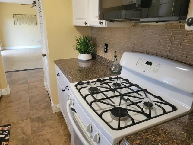 Gas Stove