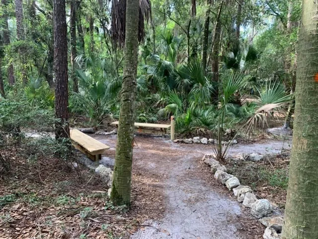 One of many Trails