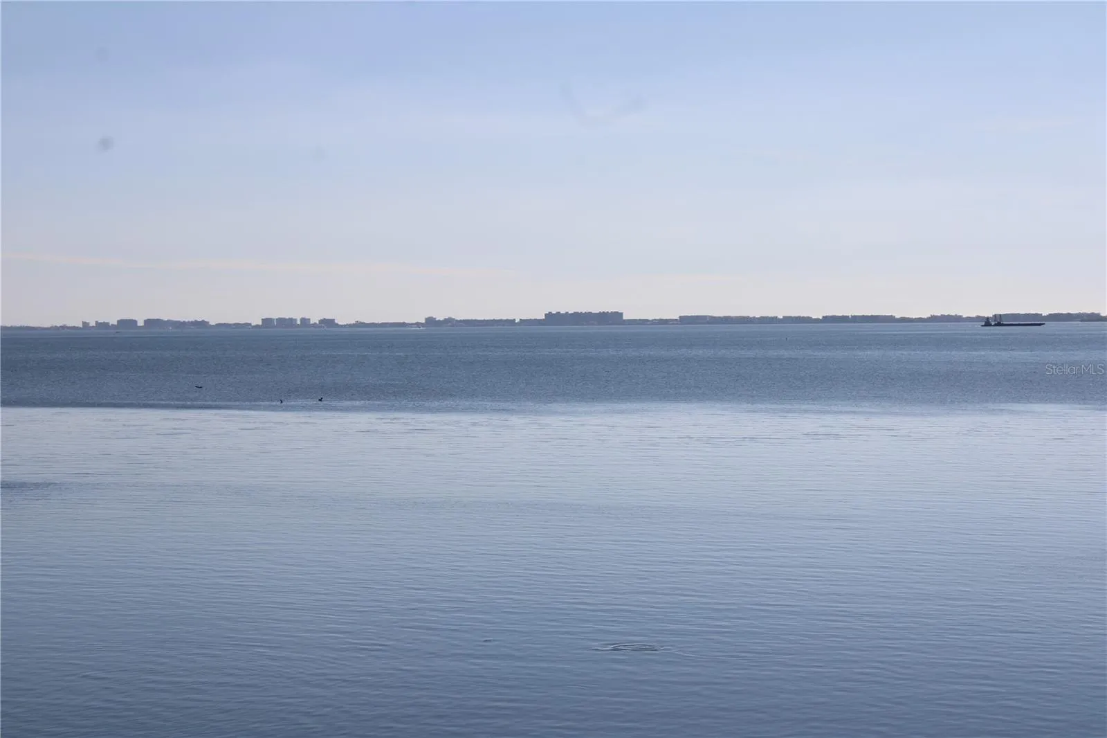 View from Florida room overlooking Sarasota Bay