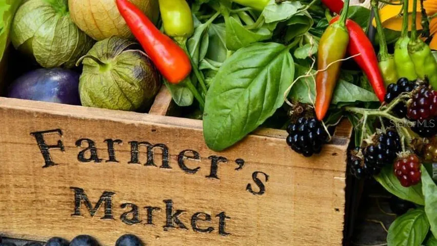 Sunday Farmers' Market- with Craft and food specialties vendors