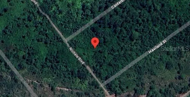 Vacant, wooded lot for sale.