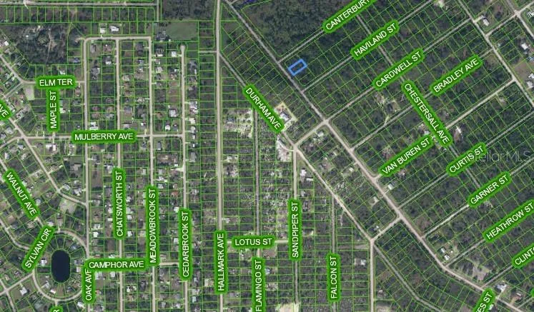 Lake Placid is a charming town located in the Heartland of Florida.