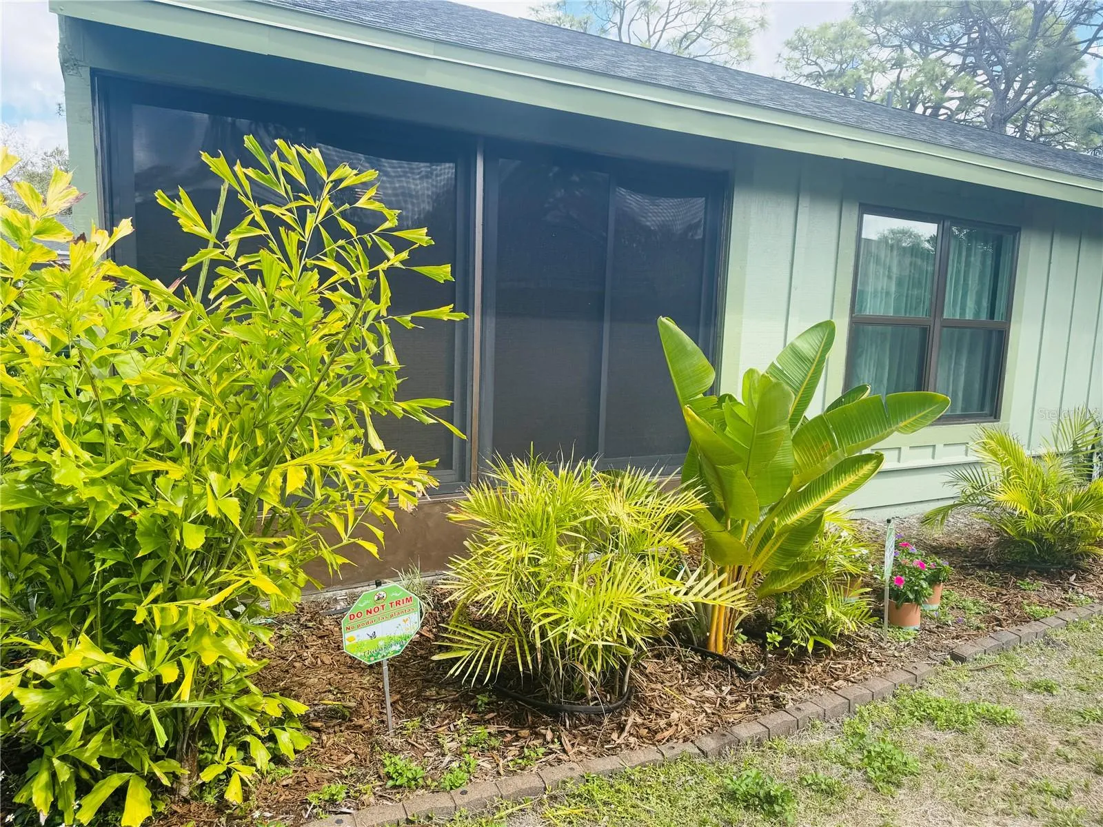 back side of house with new windows and mature landscaping