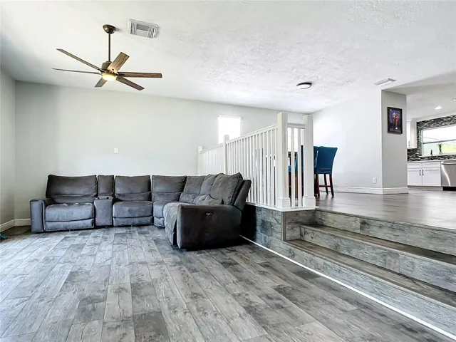 Living Room - Dining Room - Kitchen