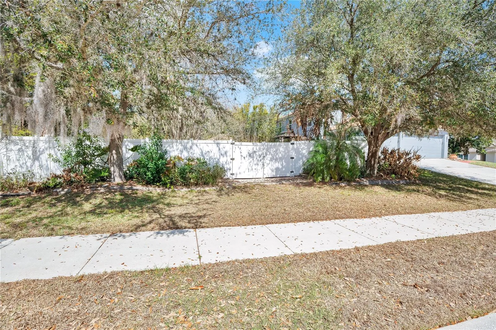 Side Yard and Side Gate