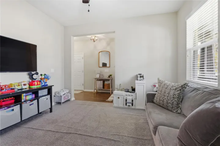Flex Room downstairs