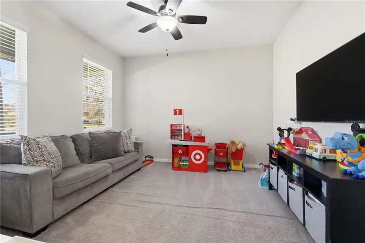 Flex Room downstairs