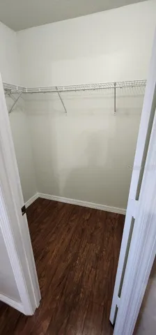 Master Closet 2