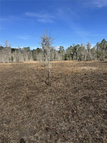 WETLAND / MARSH