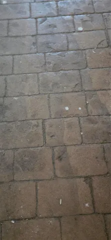FLOOR