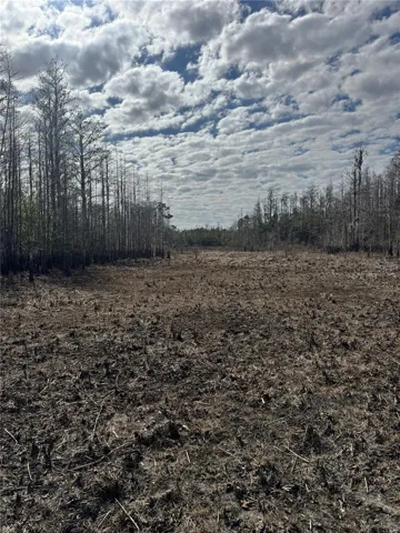 WETLANDS / MARSH