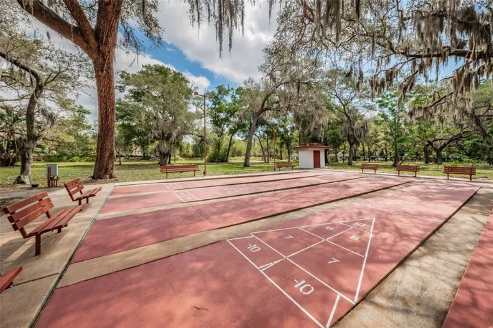 SHUFFLEBOARD