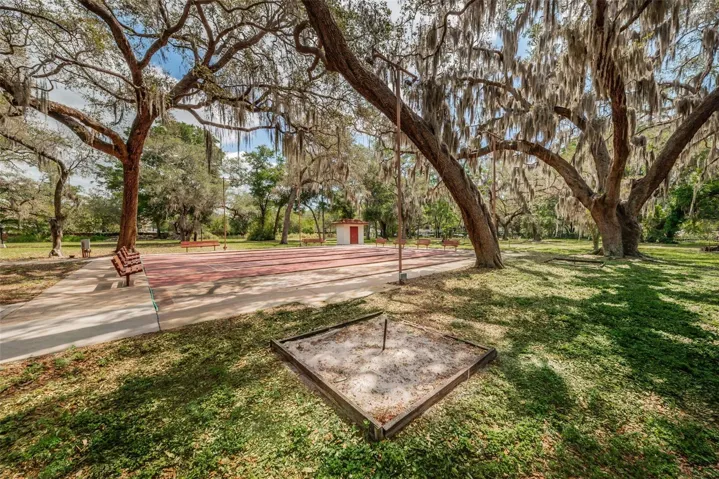 HORSESHOES