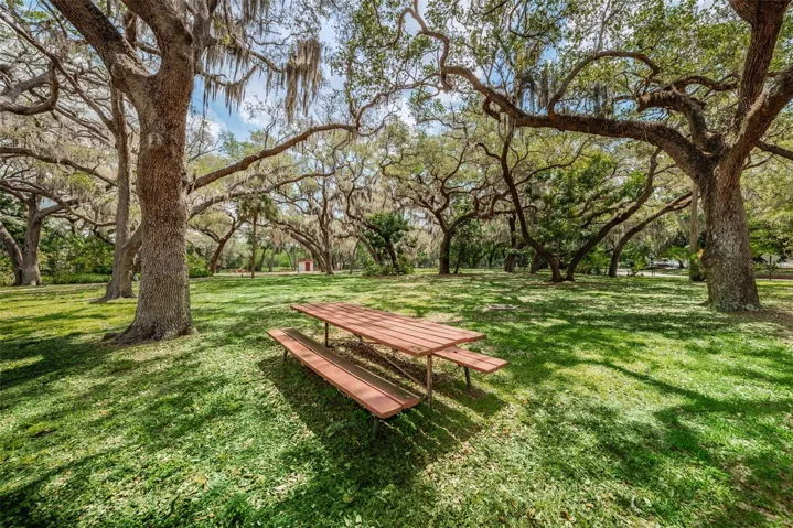 ENJOY A PICNIC