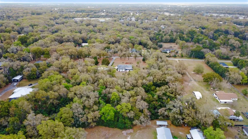 Azalea looking towards N Ridgewood.