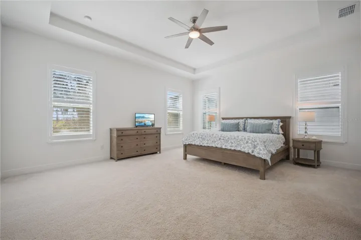 Downstairs Primary Bedroom with tray ceiling
