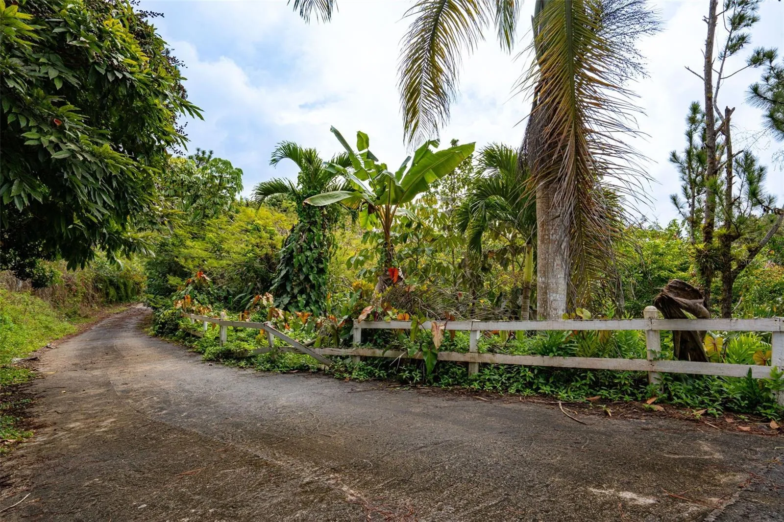 Second driveway