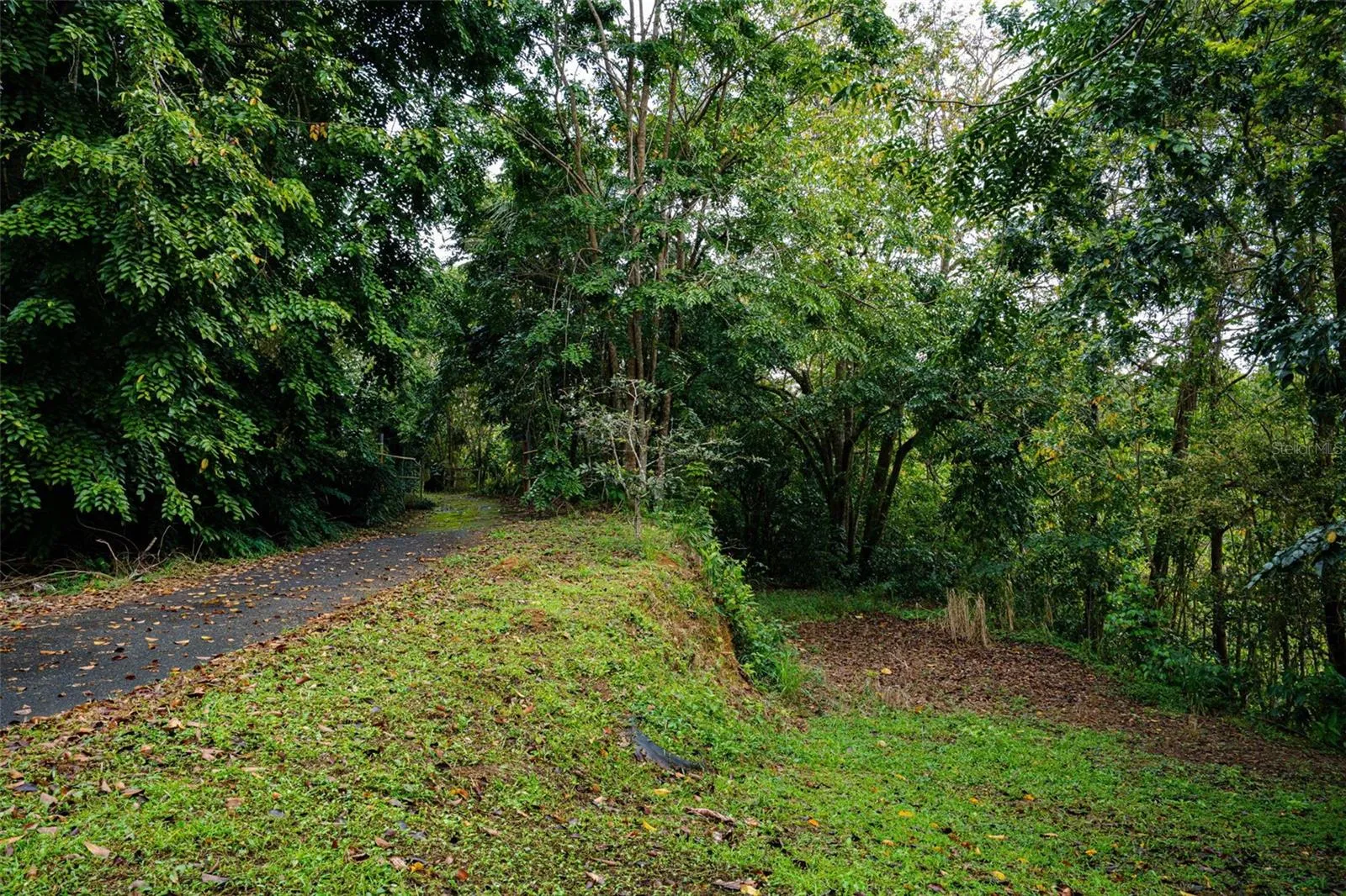 Extra land space