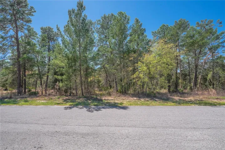 8 Heuchera Ct E, Homosassa