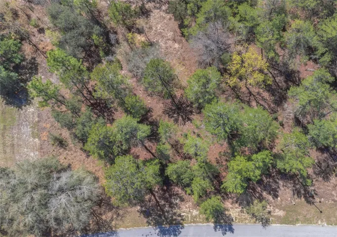 10 Heuchera Ct E, Homosassa