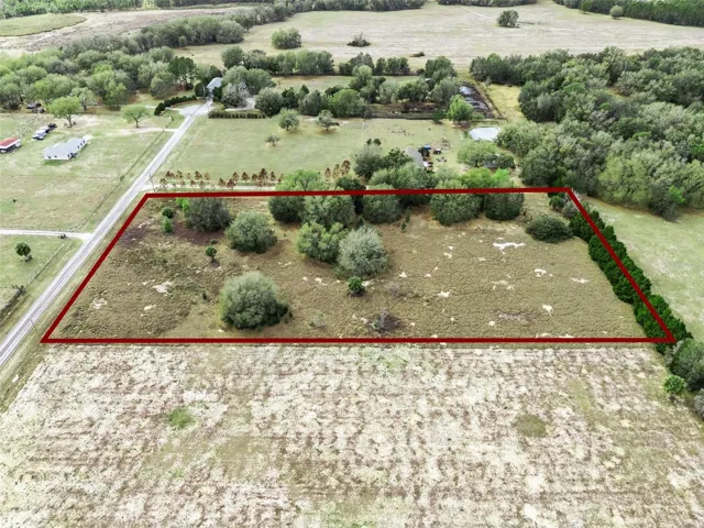 Five acres in Groveland - Hammock Grove Rd