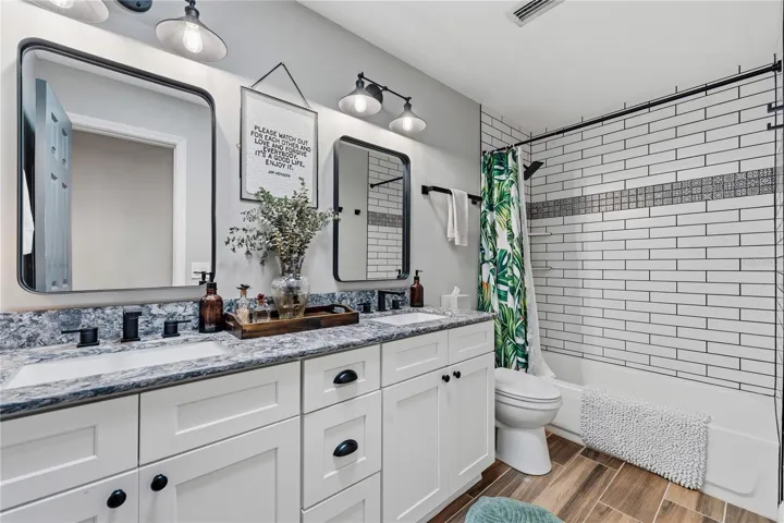 Guest Bathroom, with skylight