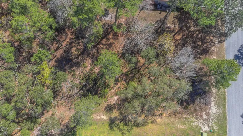 16 Iberis Court, Homosassa, Florida