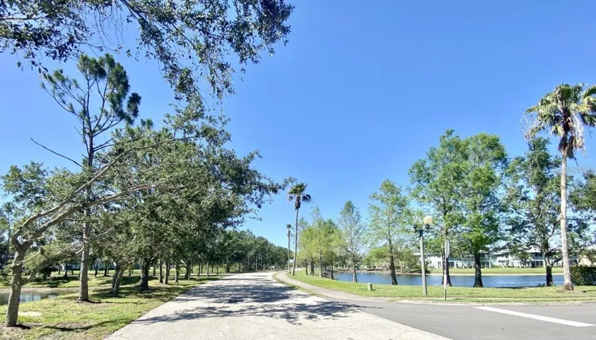 road in community