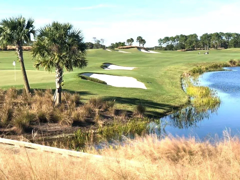 GOLF COURSE
