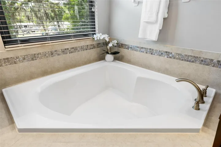 Primary Bathroom Tub