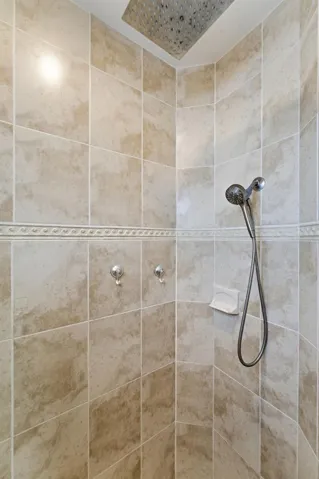 Primary Walk-in Shower