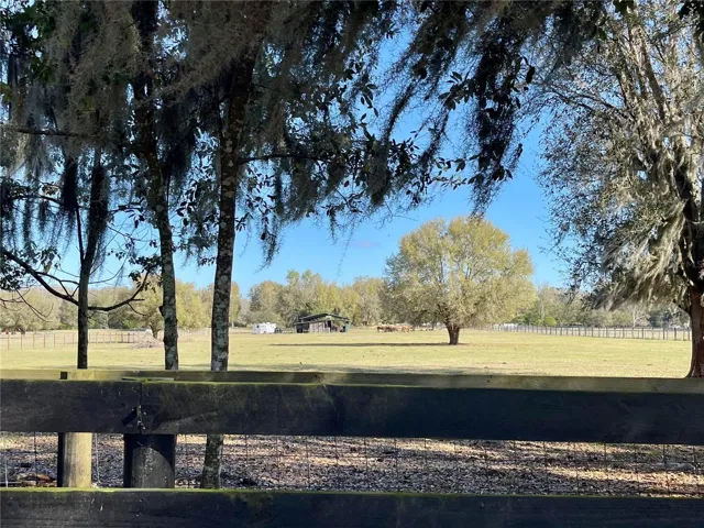 Small mini horse farm located behind subject property