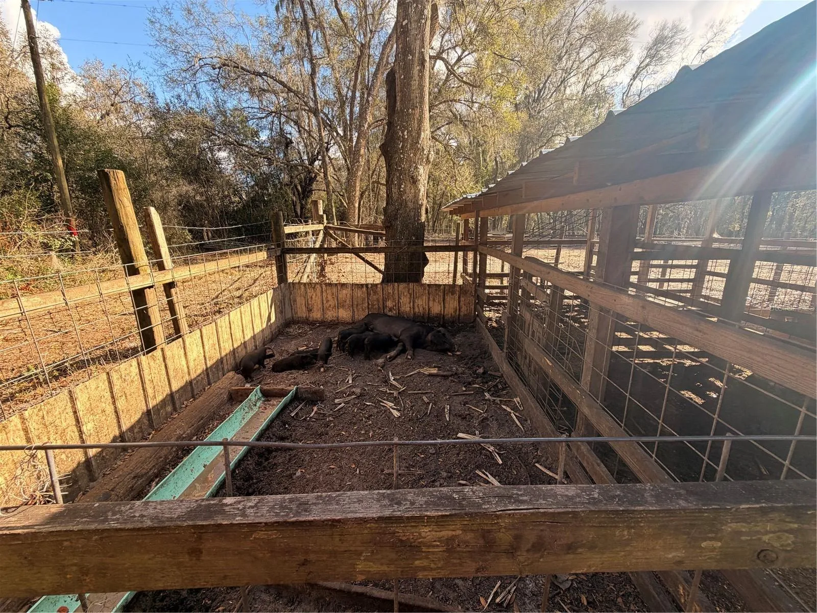 Other structure inside the property