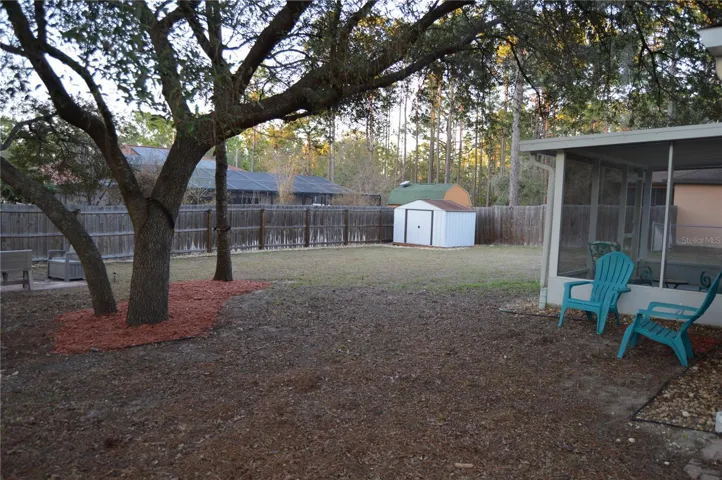 Back Yard