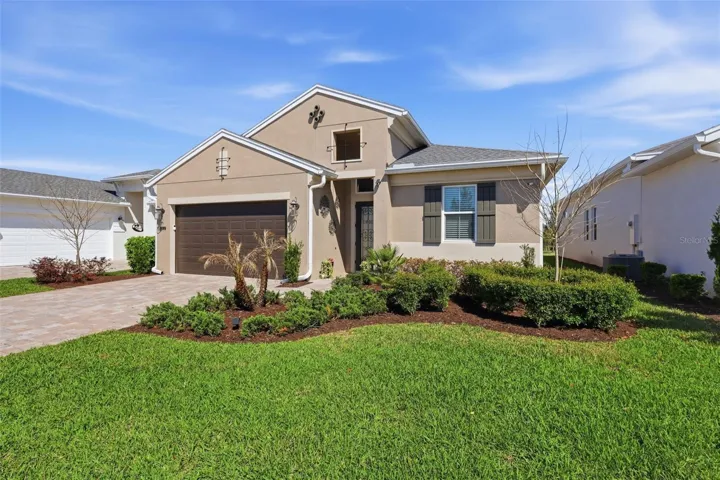 House front landscaping