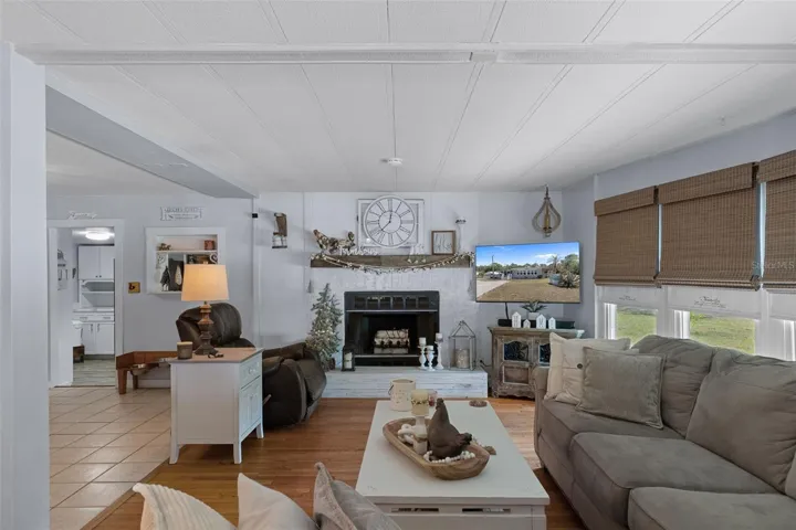 Living Room/Fireplace