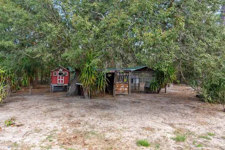 Chicken Coop