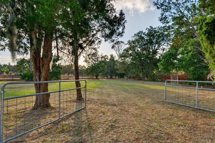 Pasture 2