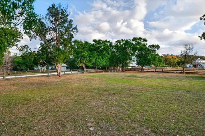 Pasture 2