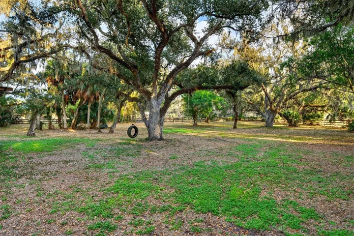 Pasture 3